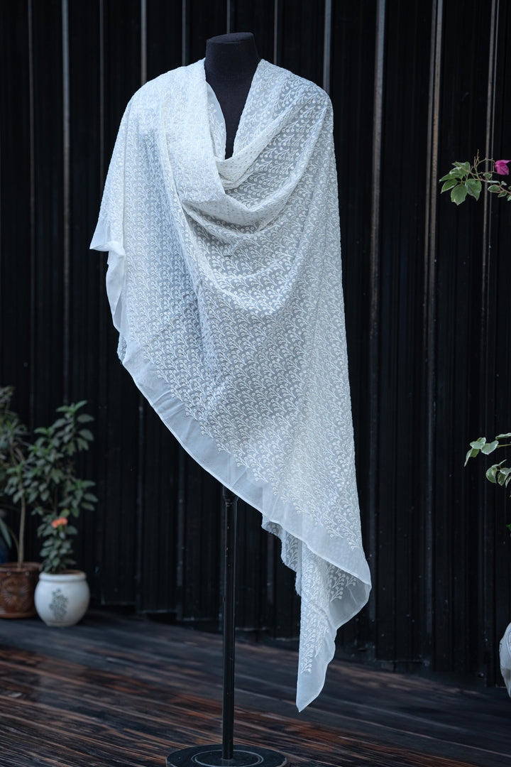 Embroidered dyeable georgettes