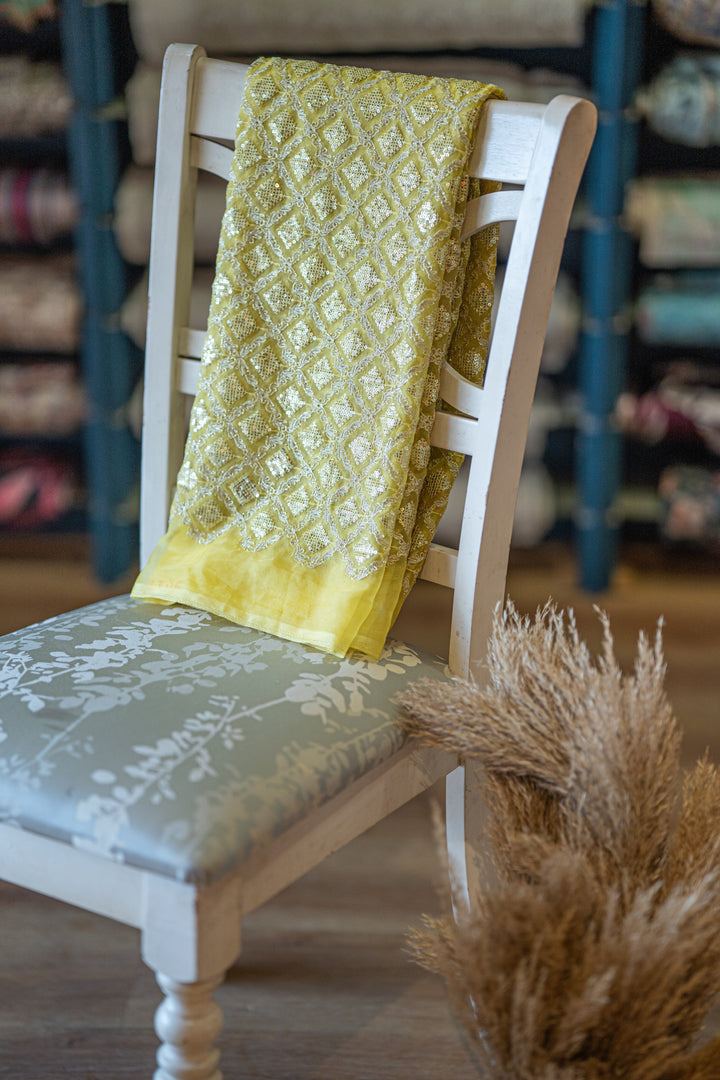 Heavily Embroidered organza