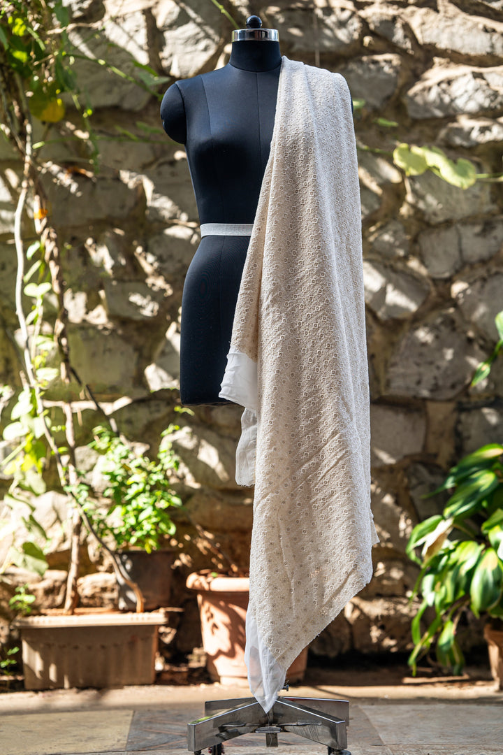 Embroidered dyeable georgettes