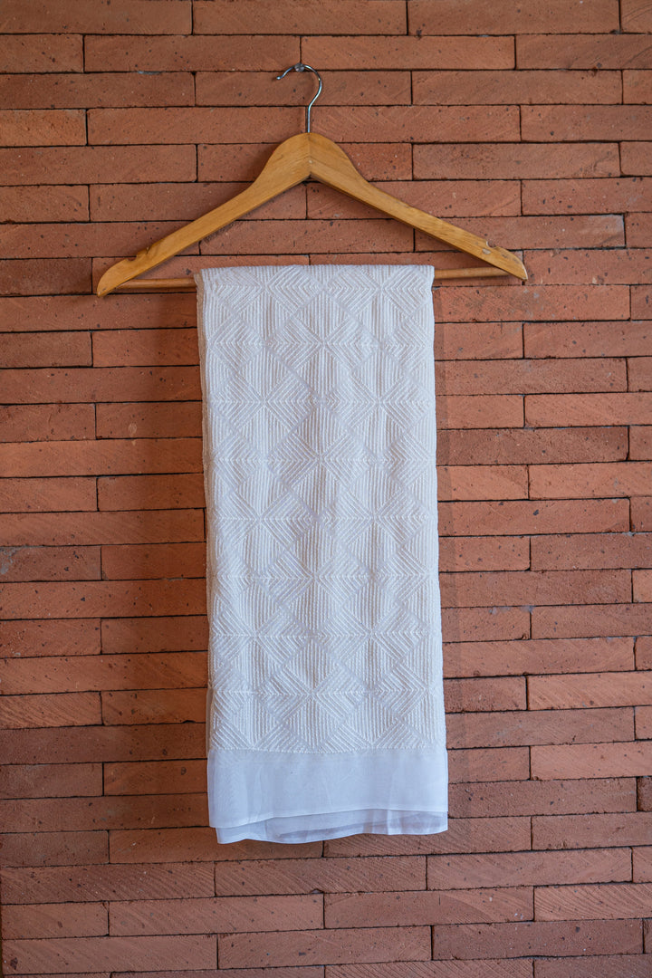 Dyeable embroidered georgettes